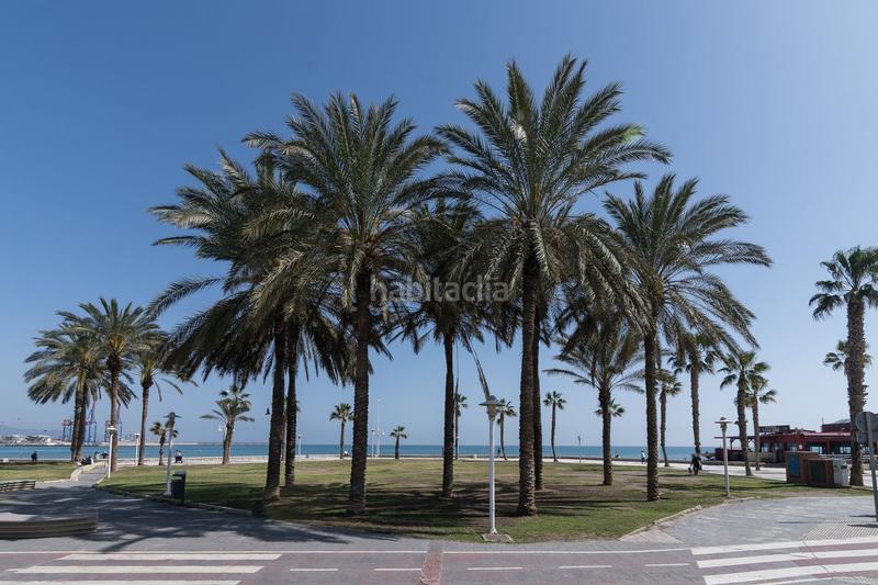 Foto 02345b57-933e-48e7-b58f-cfe9451b5a90. Alquiler piso en Parque Ayala - Jardín de la Abadía - Huelín Málaga