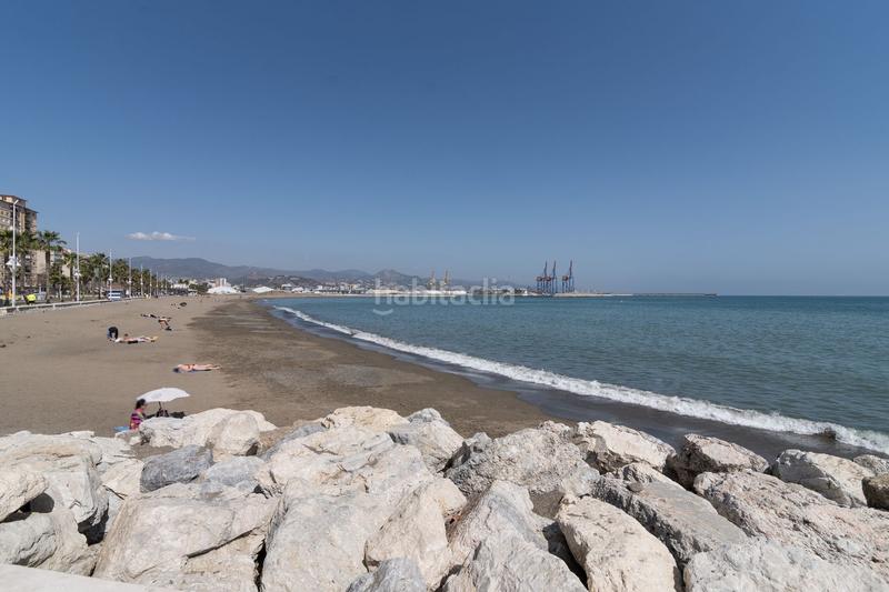 Foto 5402968f-6286-4426-9637-cc91eac8b7ca. Alquiler piso en Parque Ayala - Jardín de la Abadía - Huelín Málaga