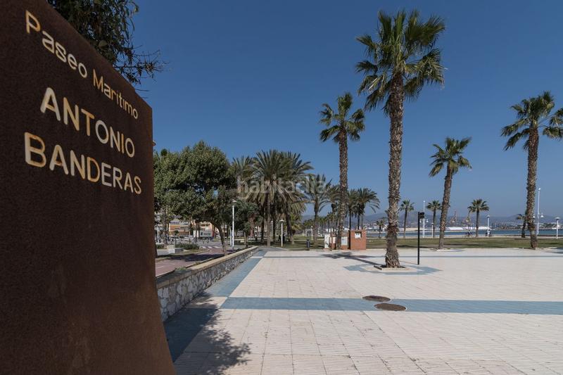 Foto b3a891d6-d6ae-4e3a-b054-3e1fc3ccd87b. Alquiler piso en Parque Ayala - Jardín de la Abadía - Huelín Málaga