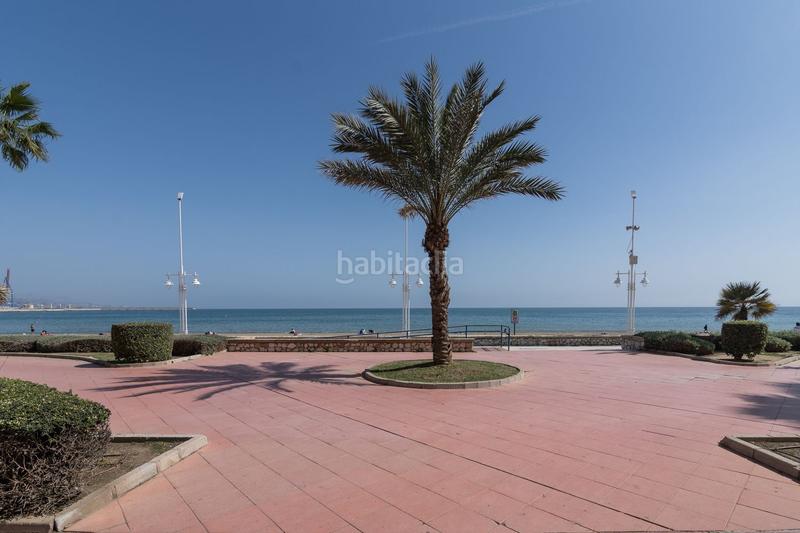 Foto e704830c-9e2f-4b84-ae46-9acdfc32ee8f. Alquiler piso en Parque Ayala - Jardín de la Abadía - Huelín Málaga