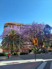 Pis  Calle diego de vergara