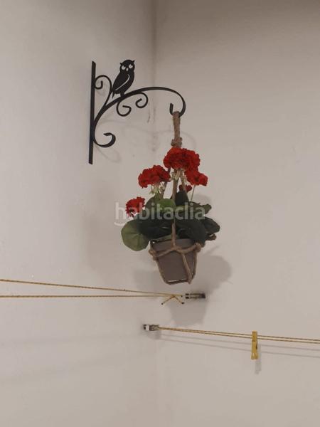 Foto 4e052e90-94a9-4ac6-9a81-a674eb8fc25a. Alquiler piso en La Merced Málaga