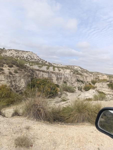 Foto 17511e21-2c2d-451f-b253-7d466e1450a9. Finca rústica a calle p8ch+5hh los olivos a Castilléjar