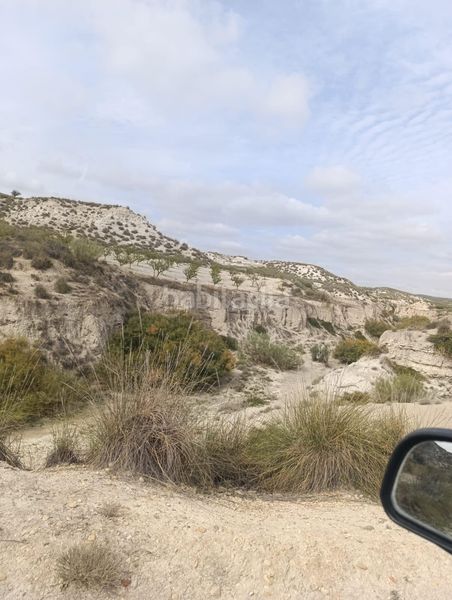 Foto 89aafbe3-808f-409f-b44e-7b6ae00b5528. Finca rústica a calle p8ch+5hh los olivos a Castilléjar