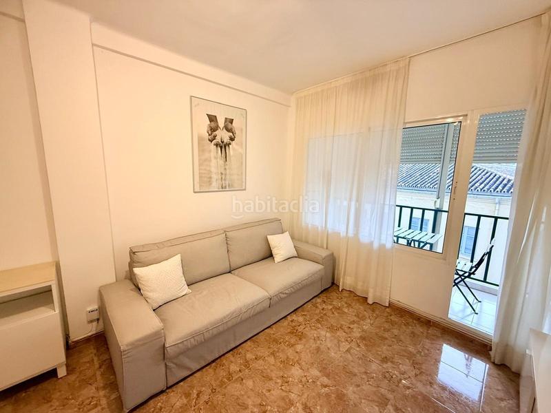Foto 0d3ca460-8ad0-4fe3-9e9f-79276bd9cfbc. Rent flat in Los Castillejos - La Trinidad Málaga