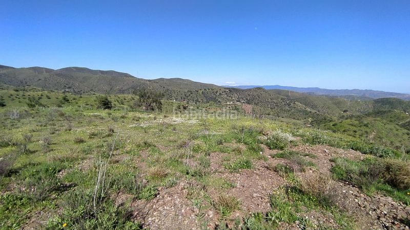 Foto 04ccf046-bf62-448f-be82-024fa5edd1bd. Finca rústica a Cártama pueblo Cártama