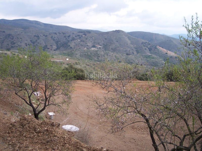 Foto 49032f41-6688-4b1f-b3f0-441f10f89c45. Finca rústica a Cártama pueblo Cártama