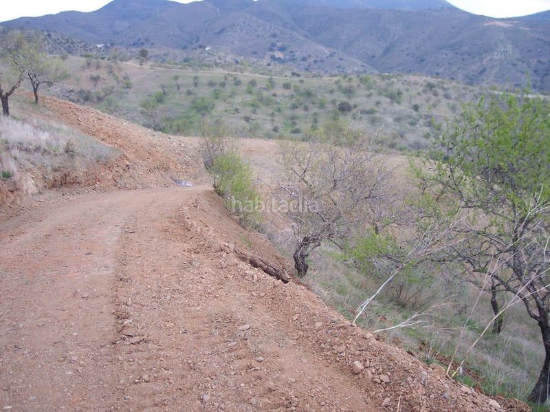 Foto b0e0e8b6-98a7-4fea-ba3e-1597bfd4a358. Finca rústica a Cártama pueblo Cártama
