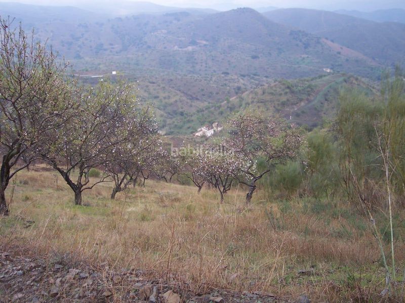 Foto c68e18e5-af4a-4c0a-b464-1888c11b49cd. Finca rústica a Cártama pueblo Cártama