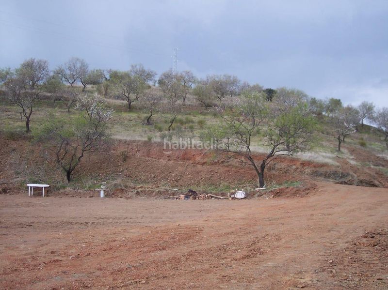 Foto e2da0cb5-ca61-4f10-84a7-9b6cf6f2acdc. Finca rústica a Cártama pueblo Cártama