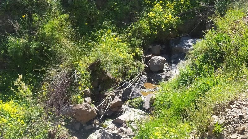 Foto f717cf48-a9c3-4b4d-a985-f6c6013919db. Finca rústica a Cártama pueblo Cártama