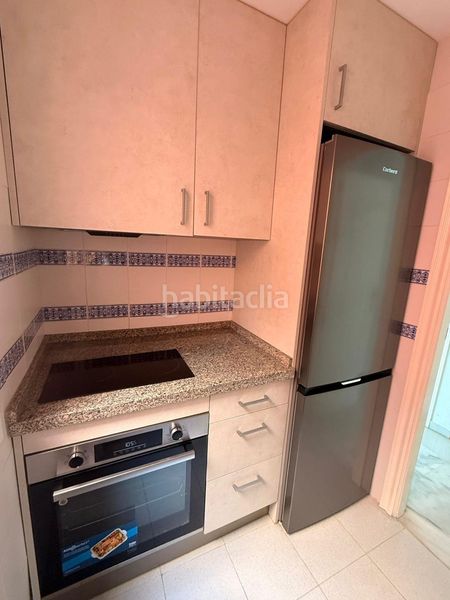Foto c51a799a-d5ce-41e3-8c39-79f006511e1c. Rent flat in El Ejido Málaga