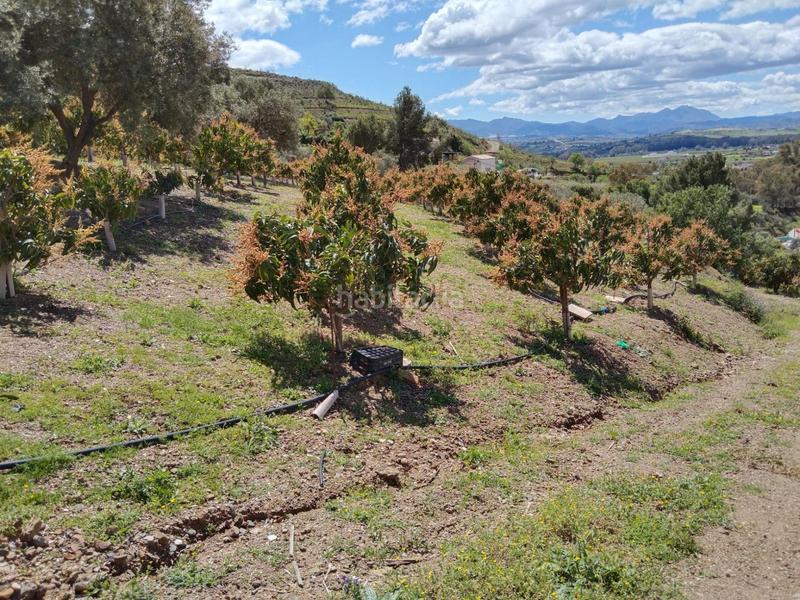 Foto 9b490a05-2f5b-4873-981f-6fc6dbd1b661. Finca rústica a Pizarra