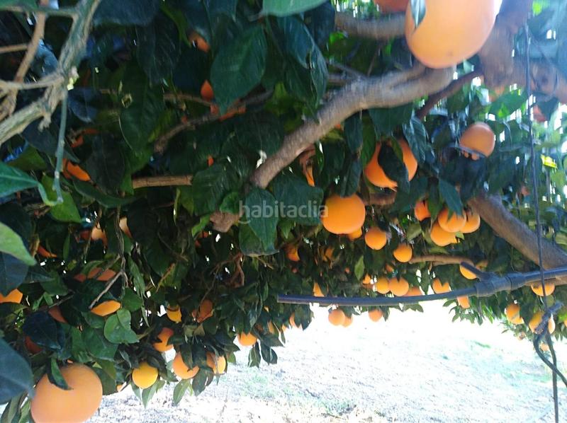 Foto 9e71e82d-31c4-43f5-8359-7d451ef6a84d. Finca rústica a Pizarra