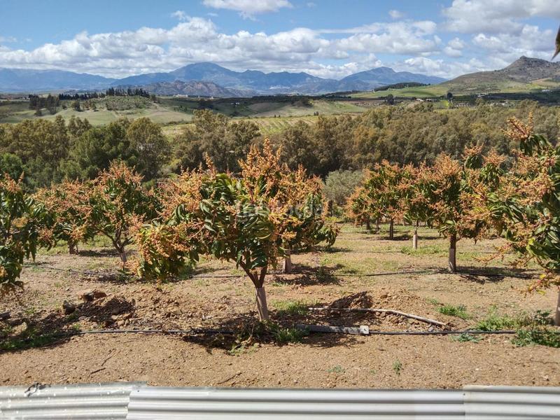 Foto a11fddf2-a48f-40b6-adb6-1eeacf3162e9. Finca rústica a Pizarra