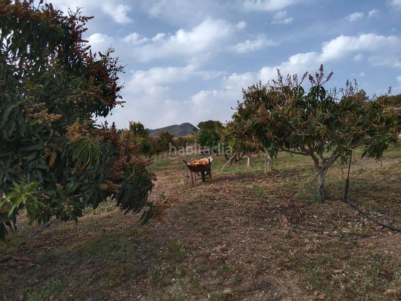 Foto b44d5851-08ba-45e2-8c77-00e3640377f7. Finca rústica a Pizarra