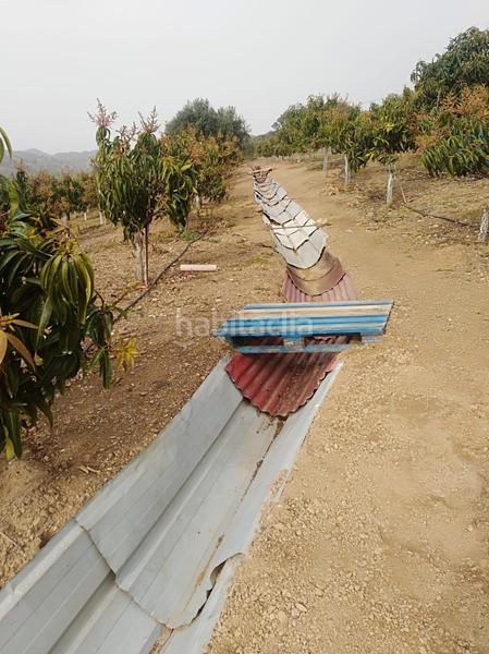 Foto fce147db-709f-4619-a1b5-2a913431dd92. Finca rústica a Pizarra