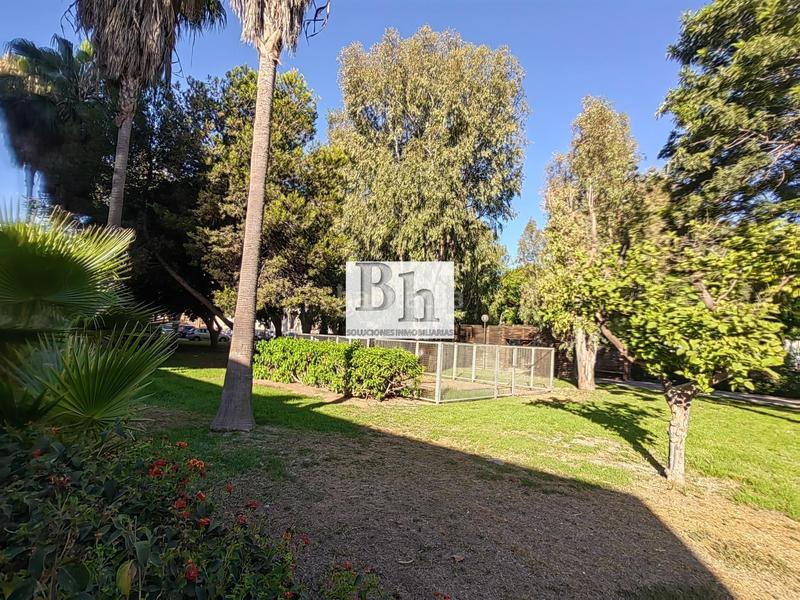 Foto db6d006f-c7dd-4b94-a4b1-ac26ca99cb9f. Local comercial en avenida sor teresa prat 105 magnífico local en recinto con piscina!!! en Málaga