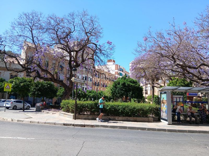 Foto dc4963ae-b685-41f2-b2f3-49bdd07b2099. Pis a Gibralfaro Málaga