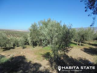 Rural plot in Carretera estacion 31