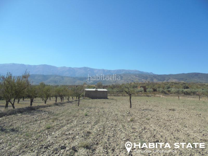 Foto 80c765f3-df6e-47c5-9909-66828e8022f0. Finca rústica a Fiñana