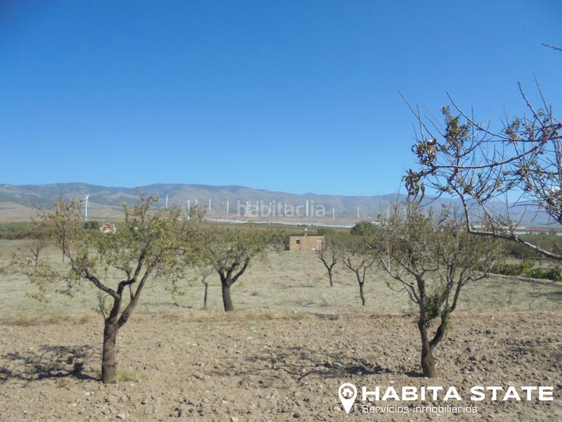 Foto a4263486-1454-450c-a23f-841845382668. Finca rústica a Fiñana