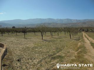 Finca rústica a Fiñana