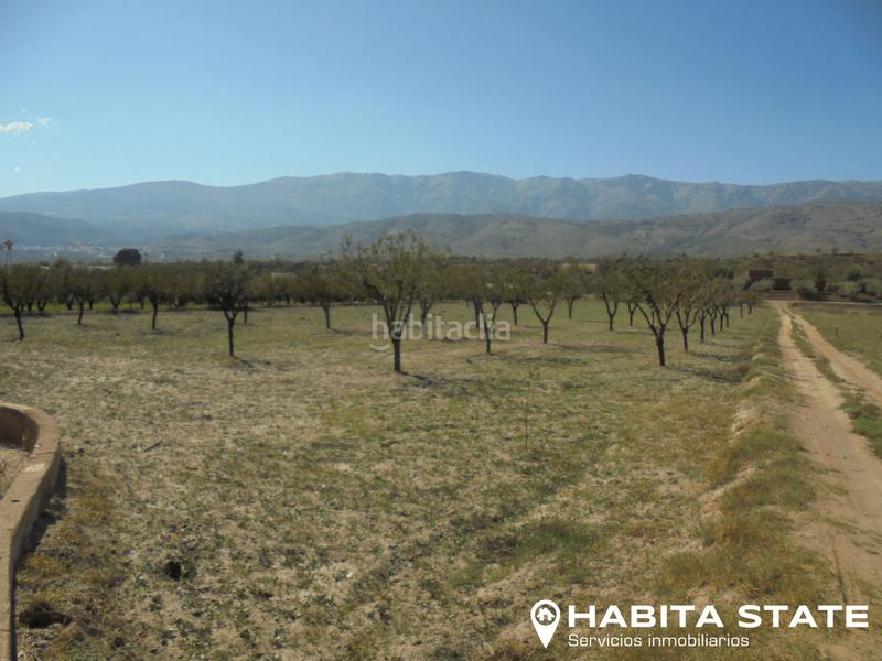Foto a56afada-9d4a-413a-8ef2-f86206b32e11. Finca rústica a Fiñana