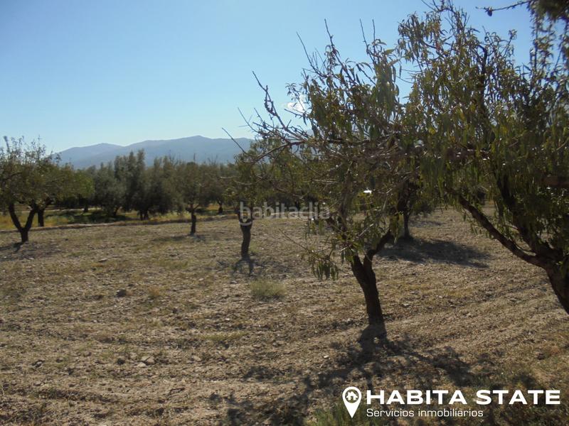 Foto e516647c-493a-442c-b2be-4470389a89cf. Finca rústica a Fiñana