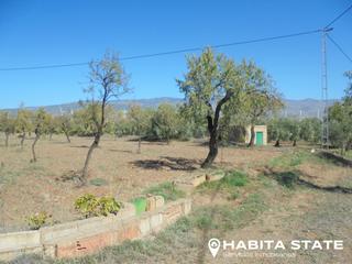 Finca rústica a Calle escuchagranos 18. Se vende terreno agrícola en abrucena almería