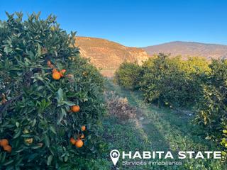 Finca rústica a Íllar. Terreno a la venta en illar