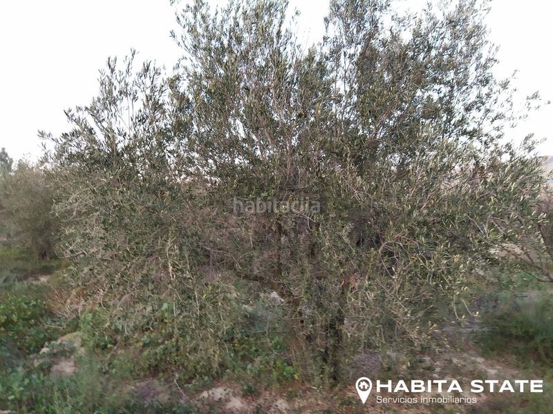 Foto 42b6d422-b6fe-48f0-a483-d7949ad8dab6. Propriété dans diseminado diseminados 40 dans Alhabia