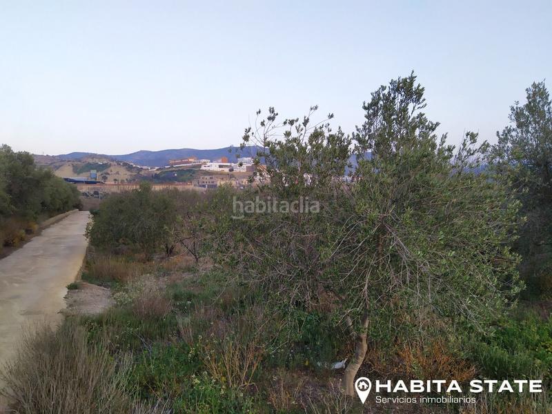 Foto a2479dd7-830f-40cd-9957-a364f6f87eca. Propriété dans diseminado diseminados 40 dans Alhabia