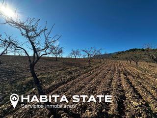 Finca rústica a N/a. ¡descubre la oportunidad perfecta para invertir en el campo!