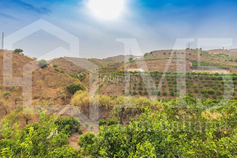 Foto 023e1da2-724e-4e27-b9e1-e204ba46a2d9. Masia a Camino Viejo de Málaga Vélez - Málaga