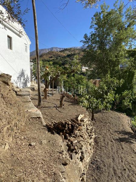 Foto 596f4395-d98c-4a5f-b4c3-bb9363064008. Alquiler masía casa alquiler en la pasada del granadillo en Canillas de Aceituno