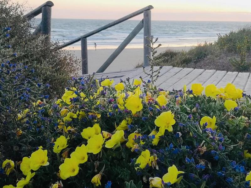 Foto d2f9ea5e-849d-49e9-8e91-d38b1f9d0212. Apartament a calle mozart 2 a Las Tres Piedras - Costa Ballena Chipiona