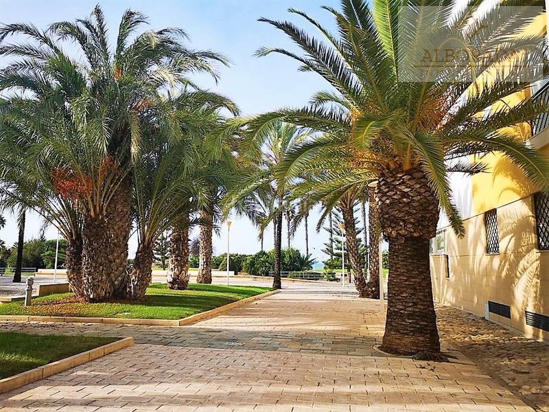 Foto 0736e0b1-ea6e-4fcb-bf0d-d7f376798b3e. Apartament amb aparcament a Costa Ballena - Largo norte Rota
