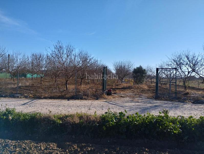 Foto 52bf6a6d-1d29-4eb8-967b-637cc1f2a7e0. Casale in Palacios y Villafranca (Los)