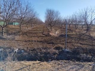 Masia a Palacios y Villafranca (Los). Finca rúst. en venta en utrera.
