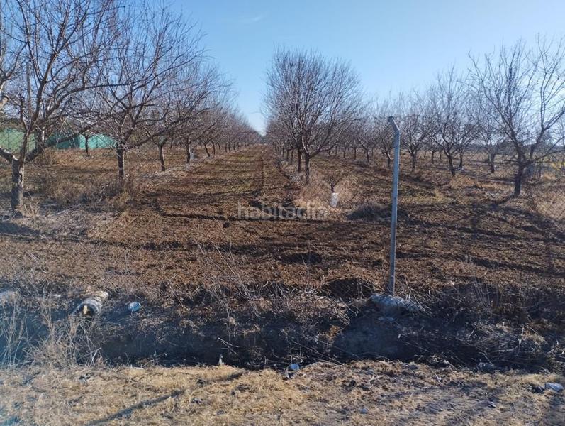 Foto bb1fb7c0-da9a-476e-befe-f7aded58ca34. Casale in Palacios y Villafranca (Los)