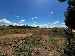 Masia a Palacios y Villafranca (Los). Finca rúst. en venta en los palacios y villafranc.