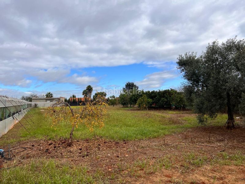 Foto 519f5617-a4df-4d3a-b5ff-4abe7217d63b. House with pool in Palacios y Villafranca (Los)