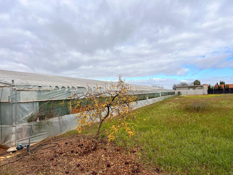 Foto fbd92abe-f73d-4ddc-b339-0470917e2ece. House with pool in Palacios y Villafranca (Los)