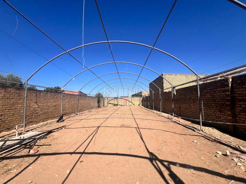 Foto 90826ee6-ccb0-461c-9e4f-7270603de40c. Miete fabrikhalle in Palacios y Villafranca (Los)