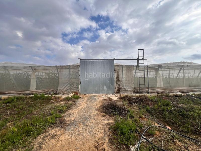 Foto 279daba8-1d6a-4856-9a2f-7b0c596811d9. Casa in Centro Alcalá de Guadaira