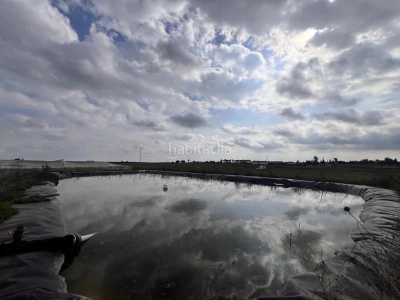 Foto 693487a3-2523-4551-88cf-1a9eeab449df. Casa in Centro Alcalá de Guadaira