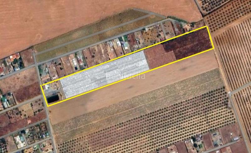 Foto 733b4b88-e2fe-4eb4-b6cb-e933b32964f6. Casa in Centro Alcalá de Guadaira