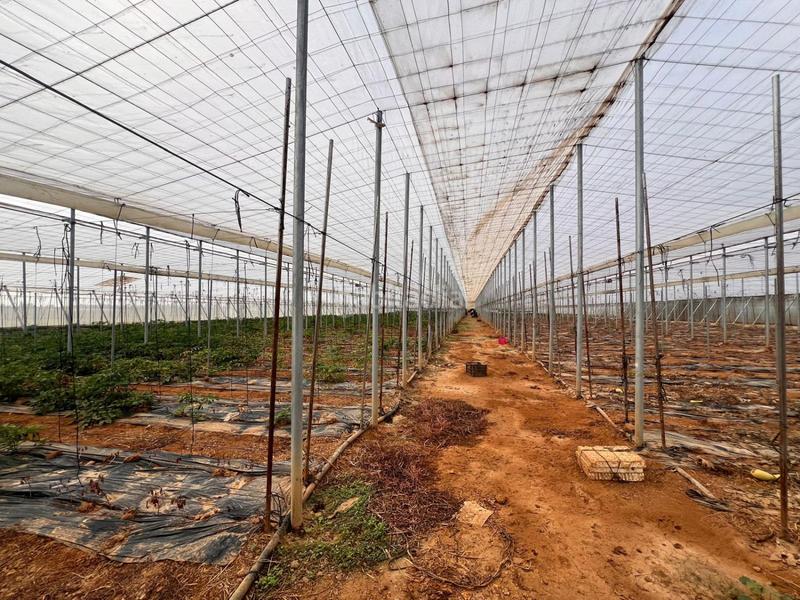 Foto 80481fb3-8a20-4d3f-a946-1aaf42cc5d40. Casa in Centro Alcalá de Guadaira