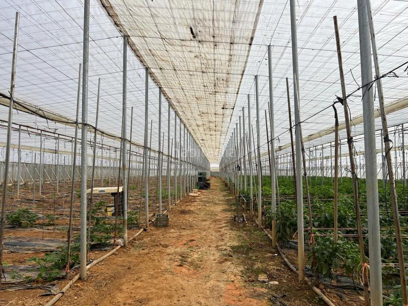 Foto 82d9dd6e-5e3f-48ac-96ba-32c2ffd5e136. Casa in Centro Alcalá de Guadaira